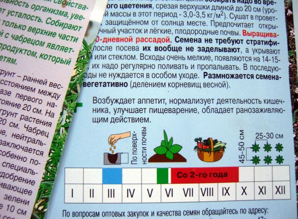 7 Семян Интернет Магазин Официальный Сайт Отзывы