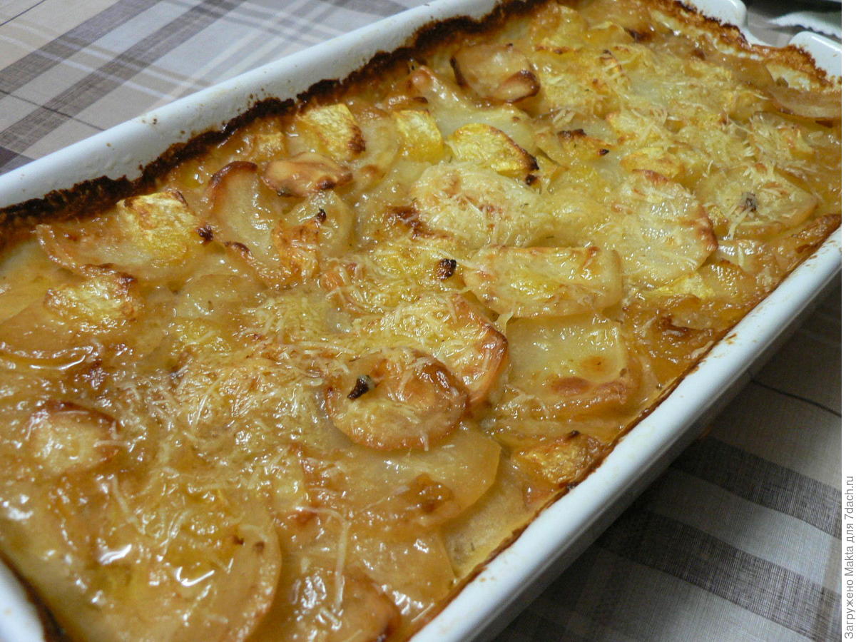 кабачки с укропом и чесноком на зиму рецепты пошагово