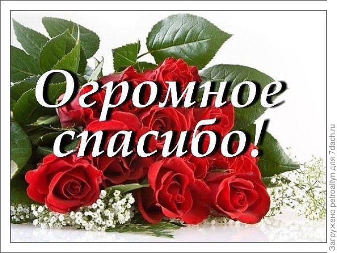 Какой подарок можно подарить дочке на 10 лет на день рождения