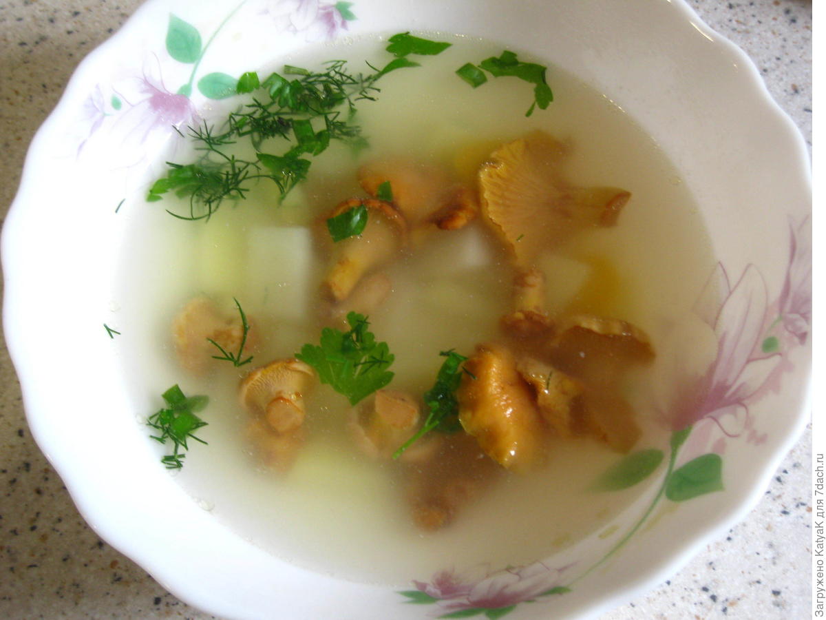 суп с лисичками фото