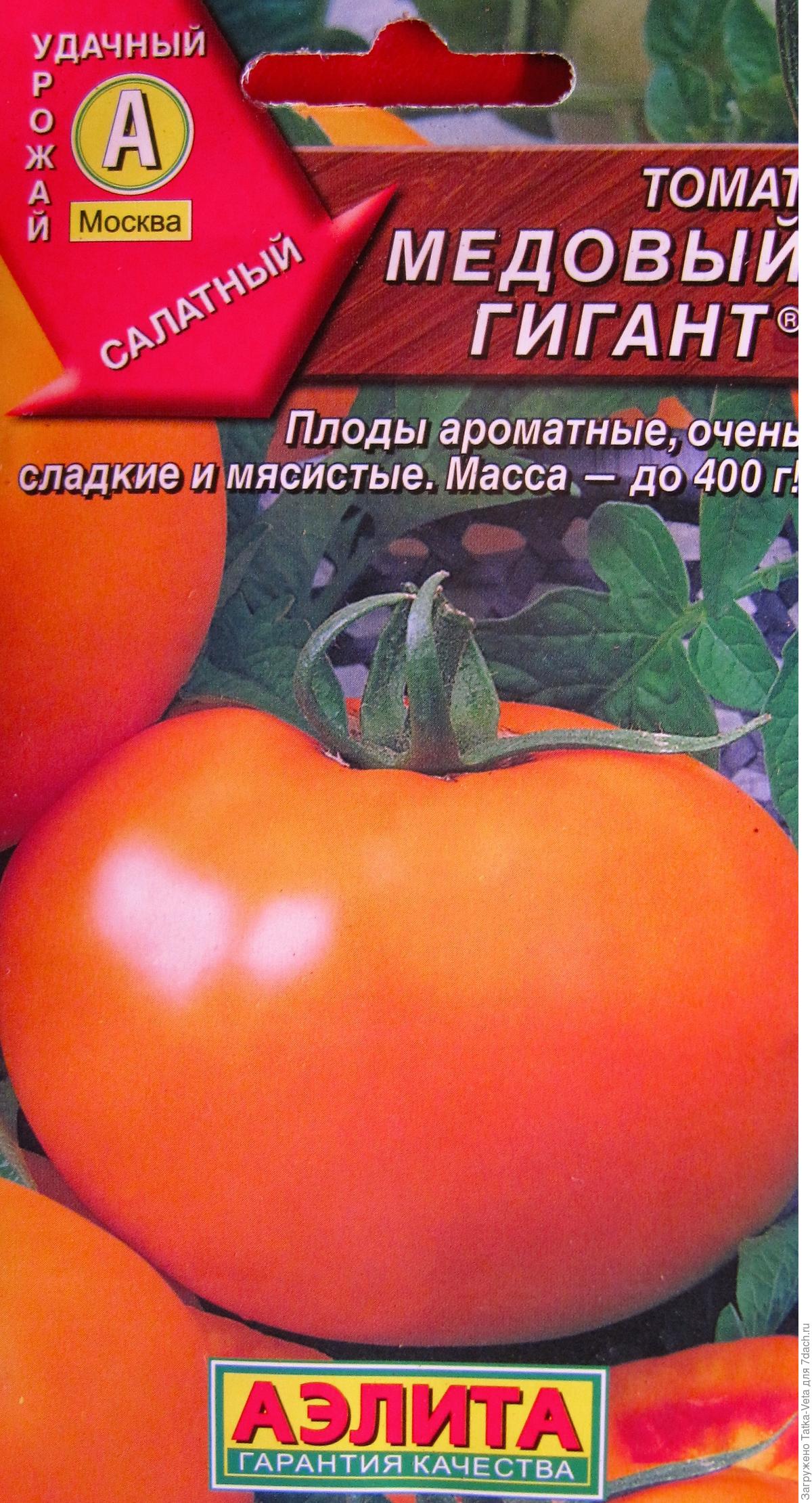 Медовый гигант томат описание фото рассады
