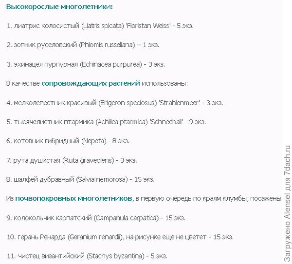 Цветы для клумбы