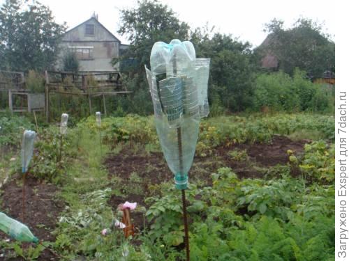Отпугивание кротов на дачном участке Отпугивание кротов на дачном участке