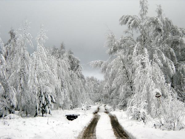 Дорога в снегах