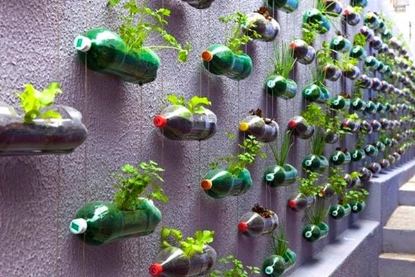 Вертикальное озеленение при помощи контейнеров из пластиковых бутылок. Фото с сайта koffkindom.ru