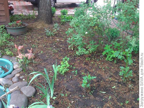 удобрение почвы скорлупой удобрение почвы скорлупой