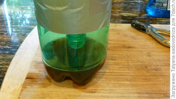 ловушка для комаров из пластиковой бутылки, фото с просторов интернета