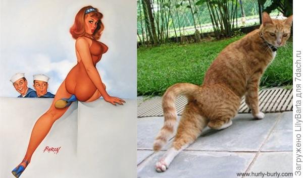 кот и.. кот и..