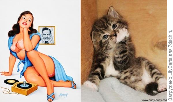 кот и.. кот и..