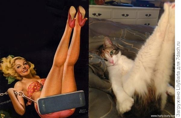 кот и.. кот и..