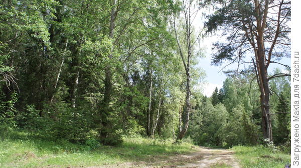дорога дорога
