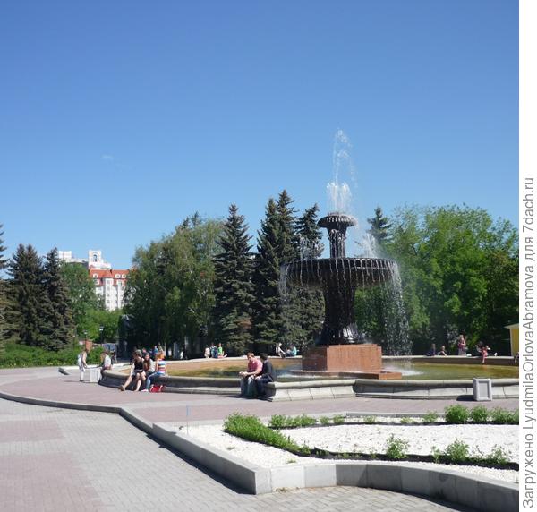 дендропарк дендропарк