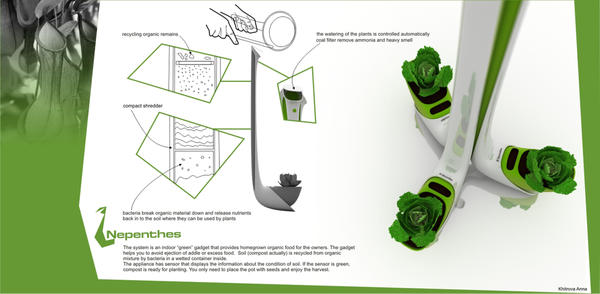 Nepenthes – домашний огород и мусорное ведро в одном флаконе. Фото с сайта http://www.designdebut.ru Nepenthes – домашний огород и мусорное ведро в одном флаконе. Фото с сайта http://www.designdebut.ru