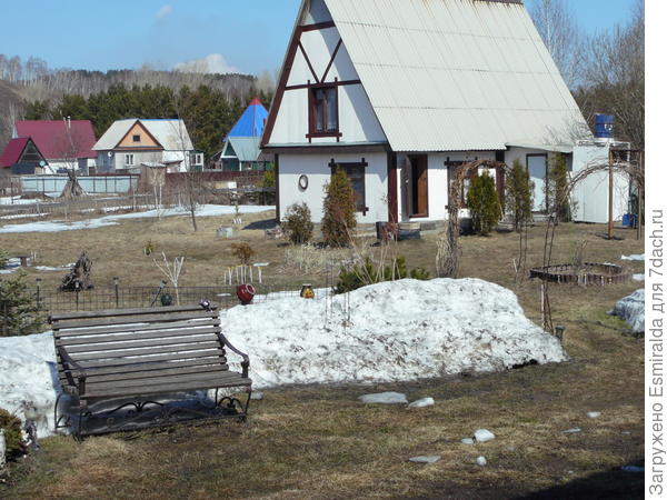 Туи в дизайне дачи Туи в дизайне дачи