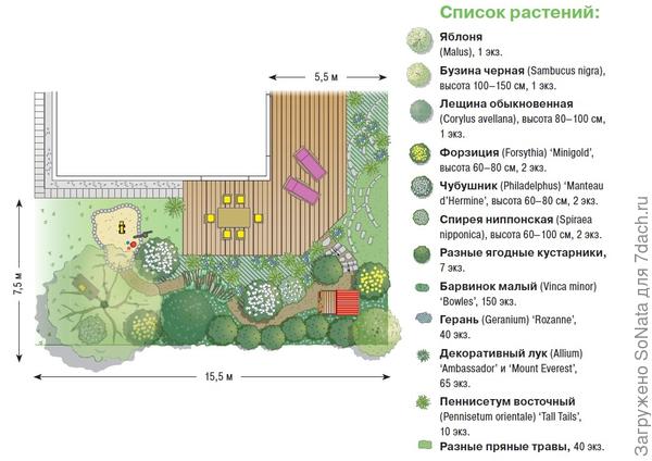 План №2 участка План №2 участка