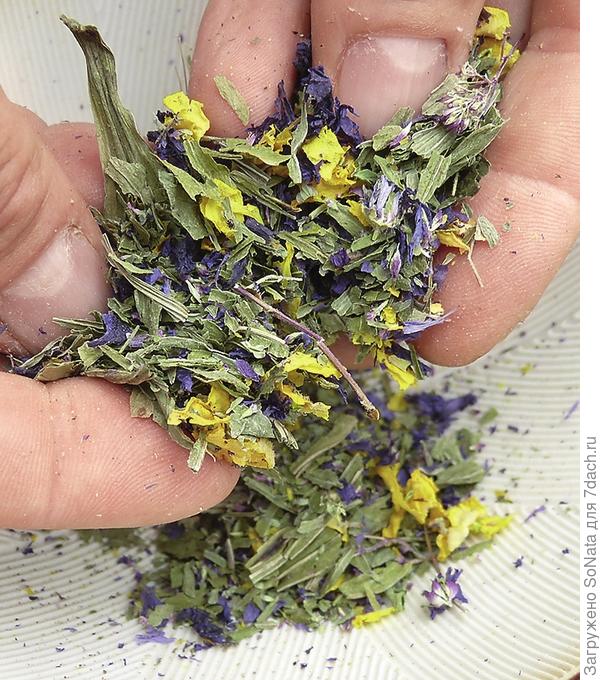 Измельчайте травы только непосредственно перед завариванием чая вручную или в ступке