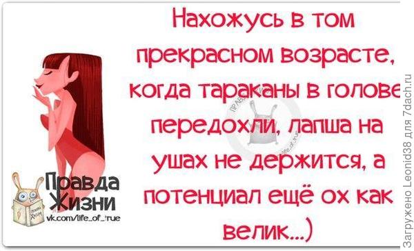 Декор и заготовки из дерева "Golden LES" ВКонтакте Вязание для детей » Петля - вязание на все случаи жизни!