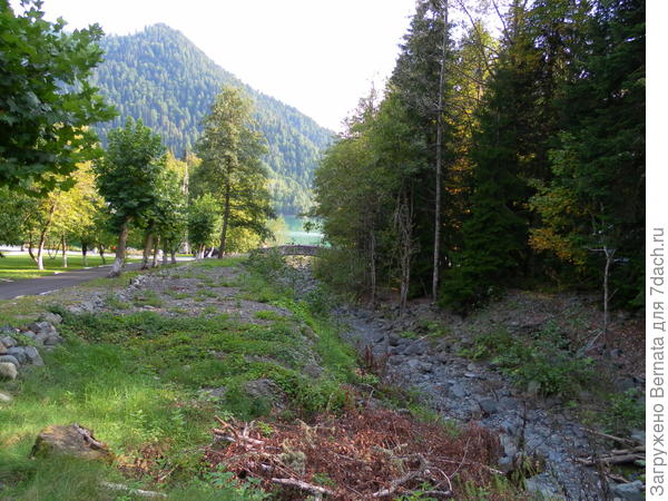 красота красота
