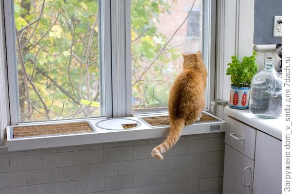 Кошкин дом Кошкин дом