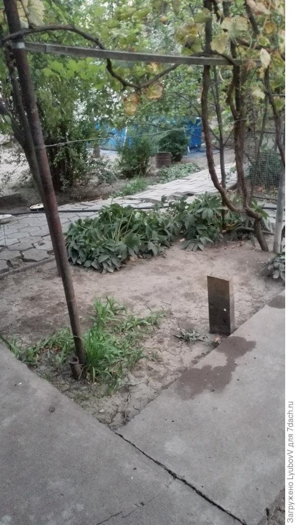 сад сад