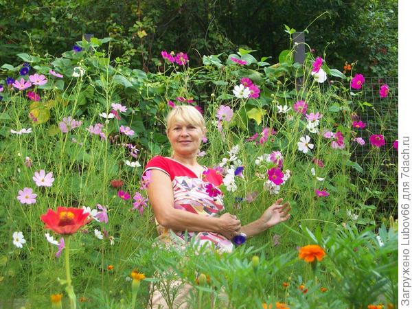Цветок с плетущимися цветами Цветок с плетущимися цветами