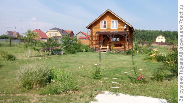 Красиво посадить хосту Красиво посадить хосту