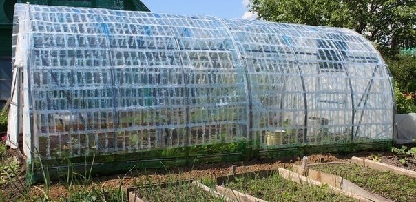 Теплица из пластиковый бутылок своими руками Теплица из пластиковый бутылок своими руками