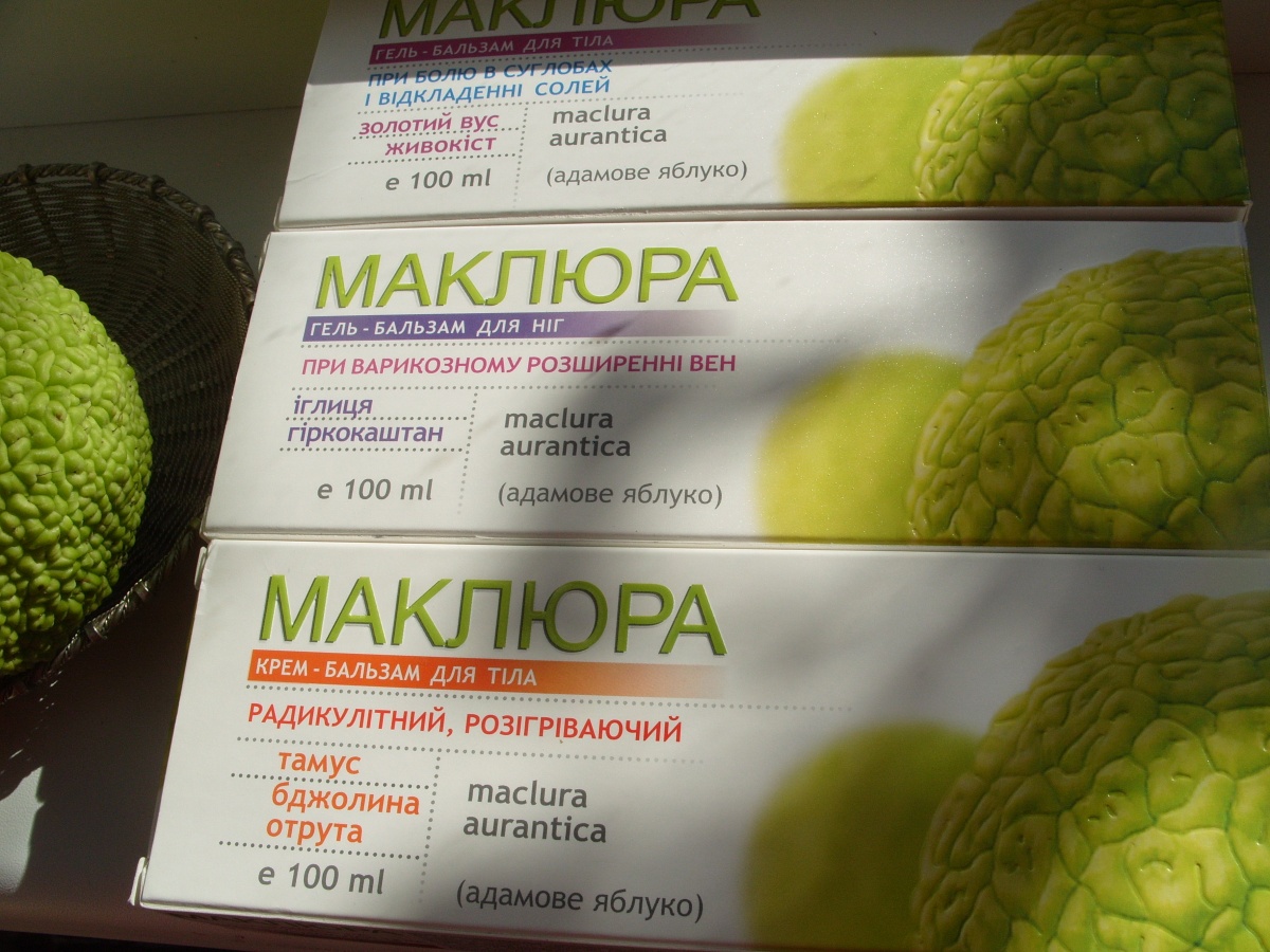 Как приготовить мазь маклюры в домашних условиях Как приготовить мазь маклюры в домашних условиях
