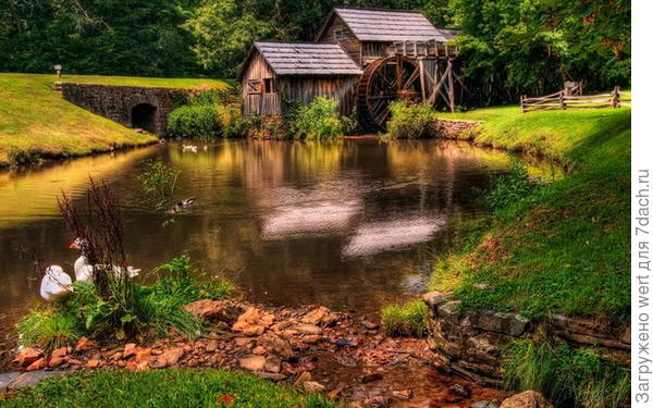 Домик в лесу