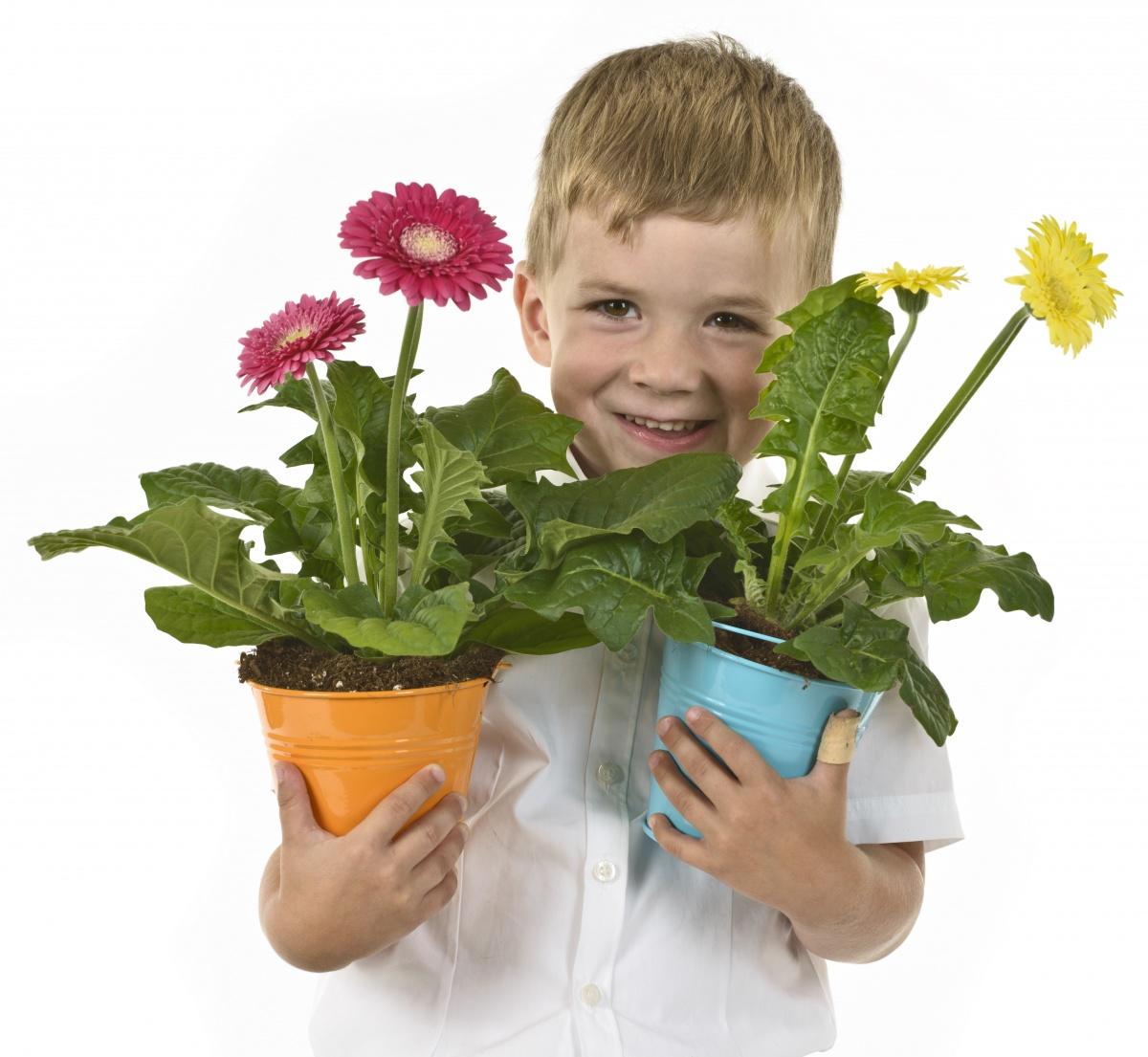 Дети вырастили цветы. Цветок в горшке. Комнатные растения для детей. Комнатные цветы в горшках. Комнатные цветы для детей.