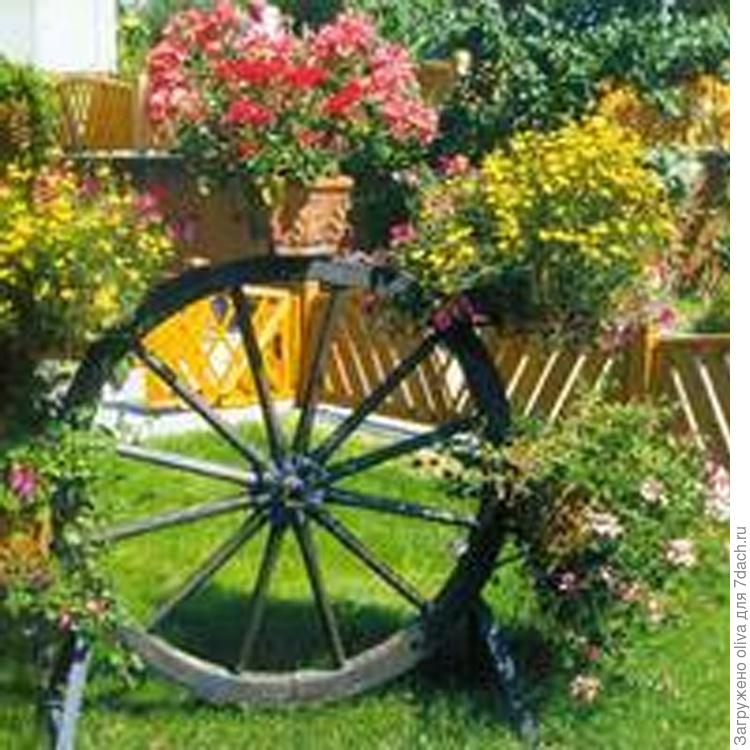 Идеи оформления клумб. Фото