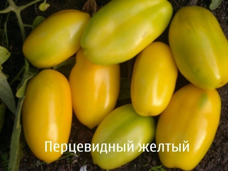 Необычные сорта томатов — перцевидные, грушевидные, черри. Описание. Фото