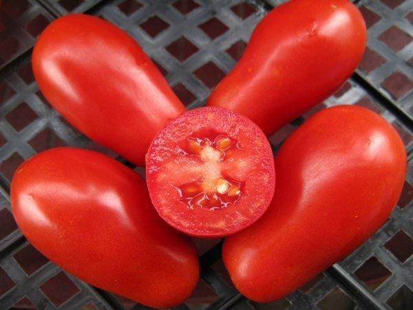 Низкорослые томаты чери