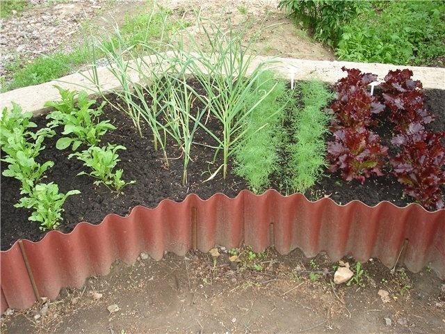 Грядки на даче. Различные варианты оформления грядок с фото