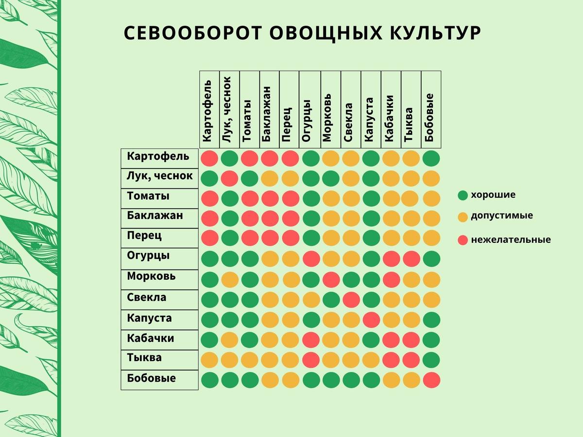 Сонник овощи на грядке видеть