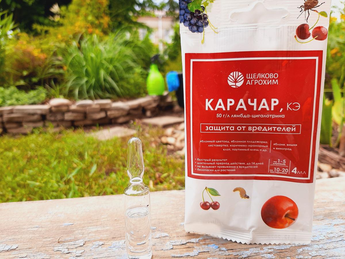 "Карачар" от вредителей: инструкция по применению