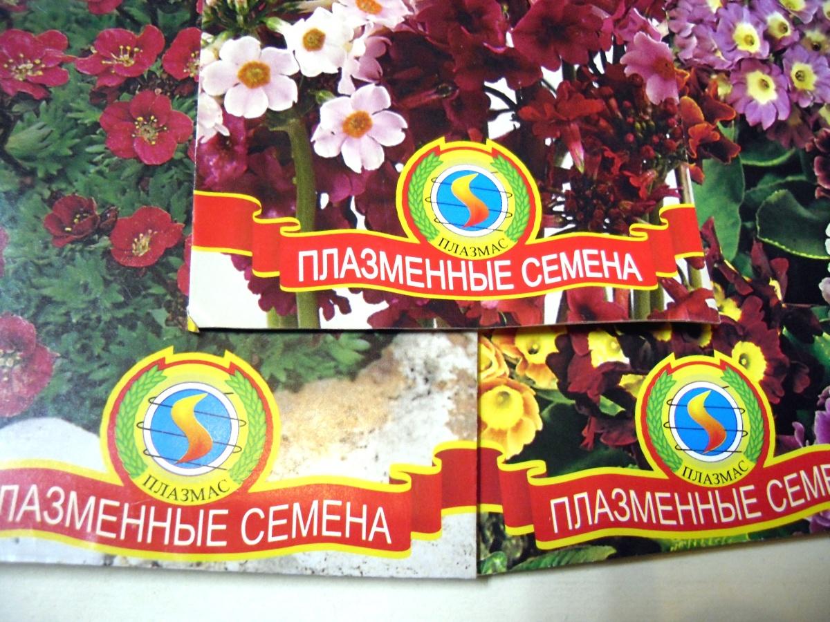 Где Купить Импортные Семена