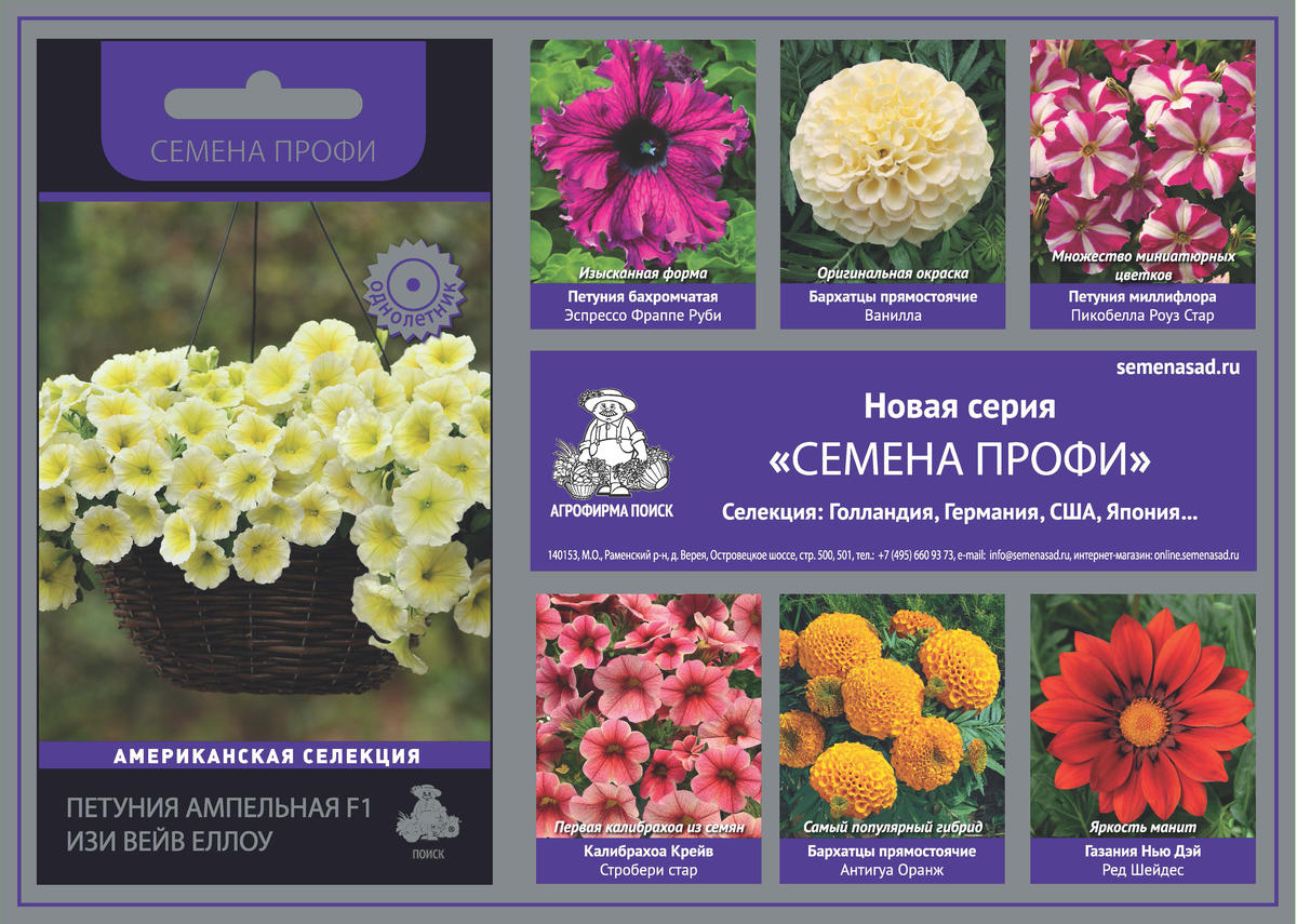Агрофирма Купить Семена Цветов
