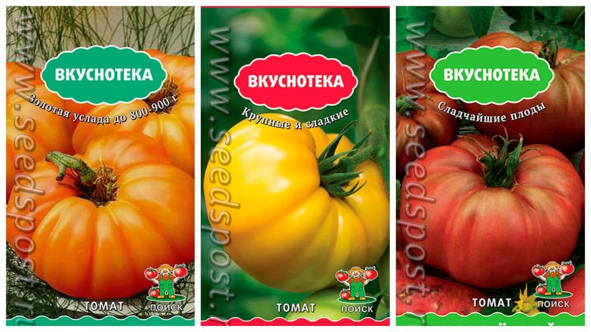 Биф-томаты: удивительные сорта с фото и описанием