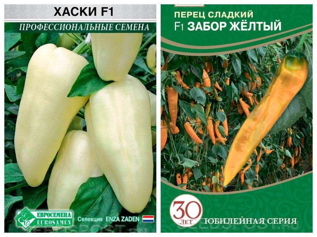 Сорт Перца Али Баба Отзывы Фото