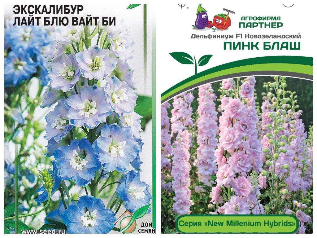 Роскошь дельфиниумов: 15 великолепных сортов, которые вы можете ...