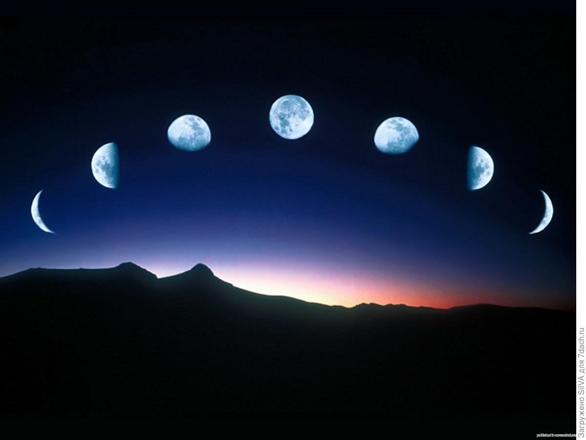 moon phases moon phases