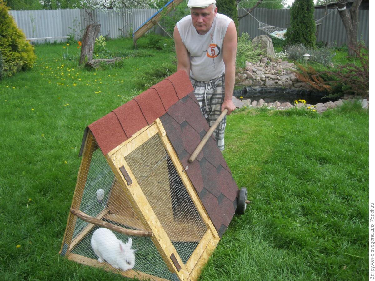 Косят зайцы траву, трын-траву на поляне