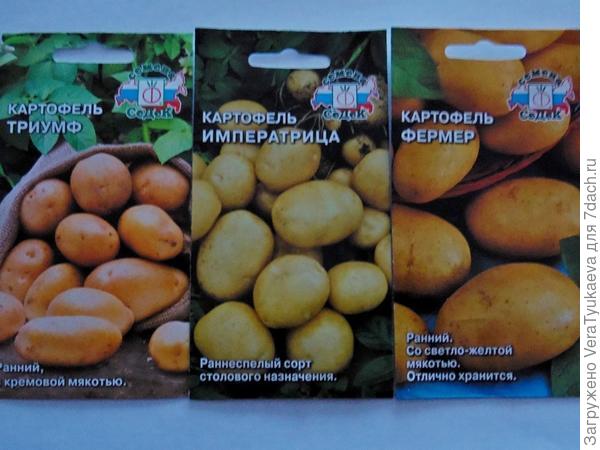 Купить Семена Картофель Сказка