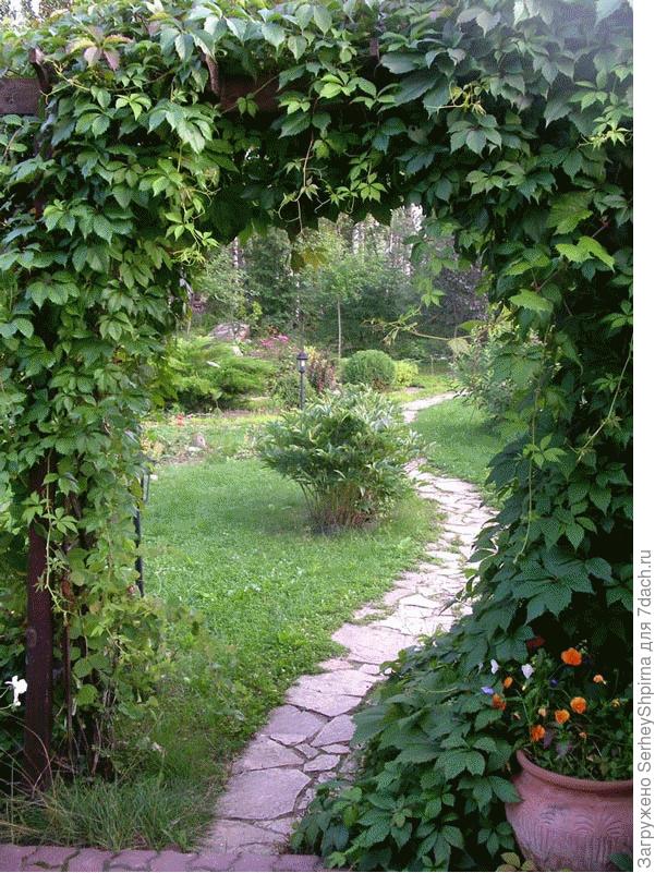 Красивые и функциональные садовые арки