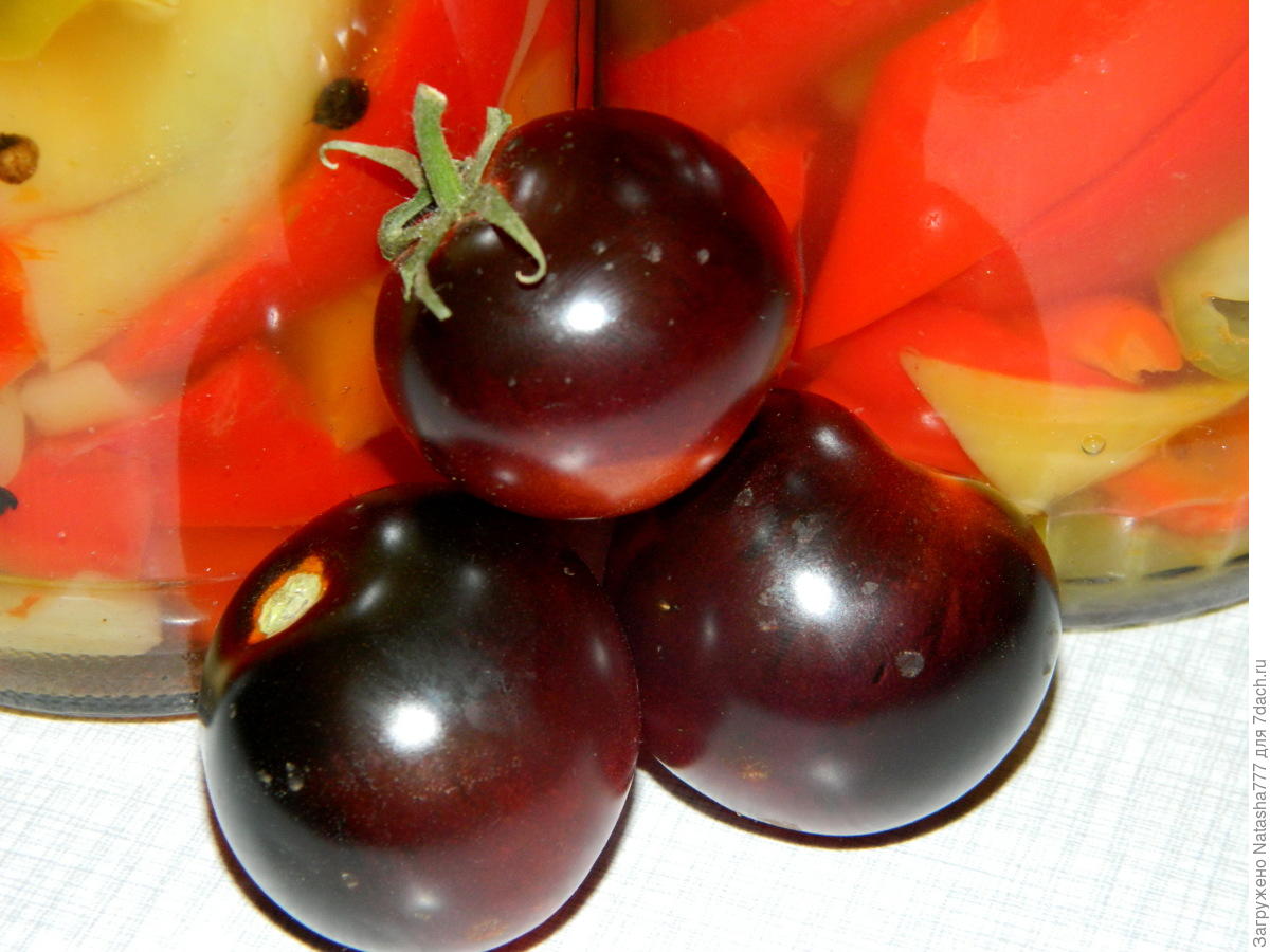 Помидоры Виноградная гроздь черные