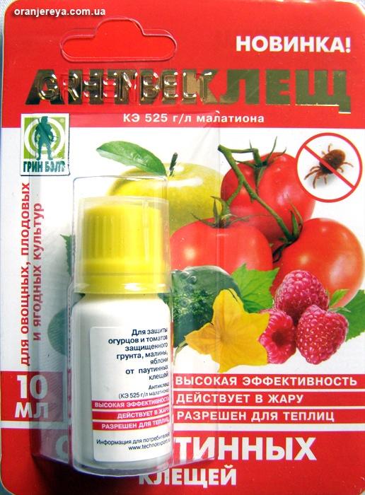 Химические препараты для борьбы с насекомыми-вредителями | Fit.ru