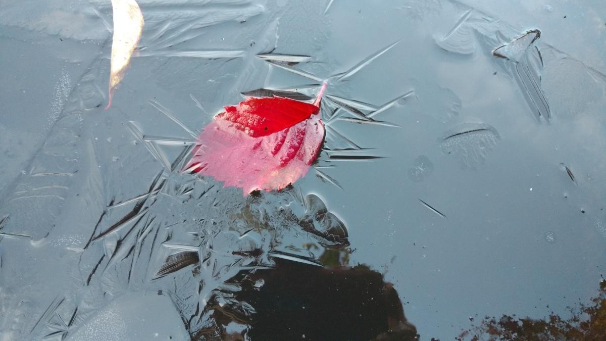 вода даже в бочках на утро замерзла