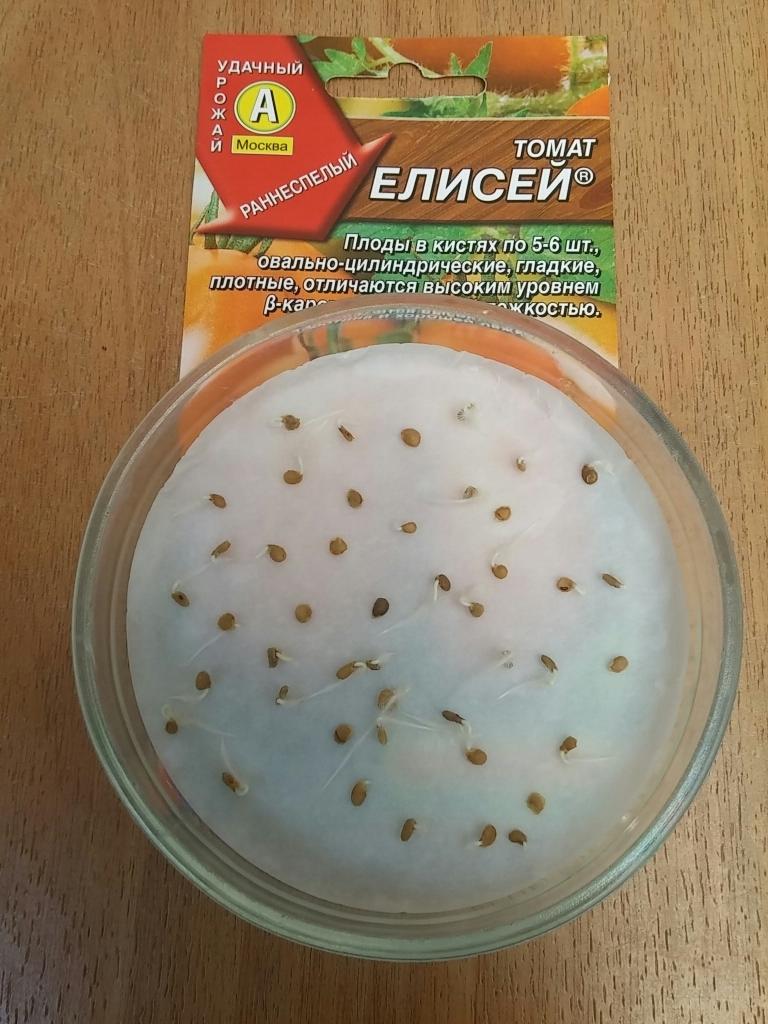 Томат Елисей Отзывы Фото