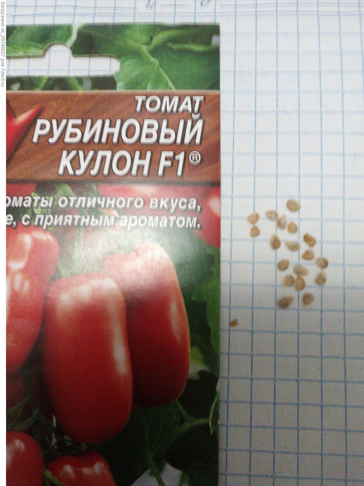 Рубиновый Кулон Семена Помидор Где Купить